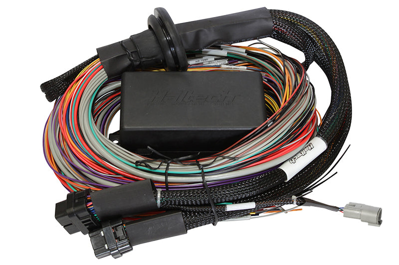 Haltech Elite Premium Universal Wire-in Harness Length: 2.5m (8')