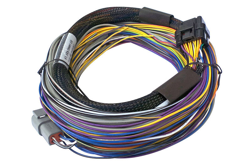 Haltech Elite Basic Universal Wire-in Harness (2.5m / 8' Length)