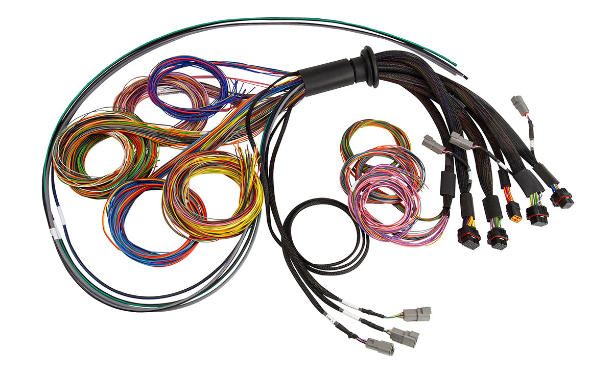 Haltech NEXUS R5 Universal Wire-In Harness